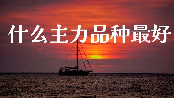 什么主力品种最好_https://wap.yjjixie.cn_保险理财_第1张