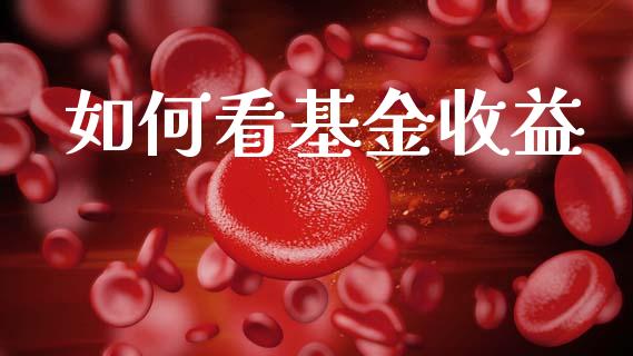 如何看基金收益_https://wap.yjjixie.cn_港股行情_第1张