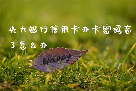光大银行信用卡办卡密码忘了怎么办_https://wap.yjjixie.cn_商业资讯_第1张