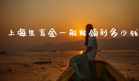 上海生育金一般能领到多少钱_https://wap.yjjixie.cn_保险理财_第1张