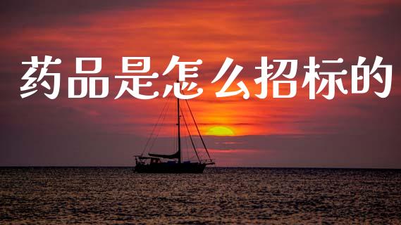 药品是怎么招标的_https://wap.yjjixie.cn_商业资讯_第1张