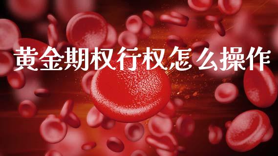 黄金期权行权怎么操作_https://wap.yjjixie.cn_港股行情_第1张