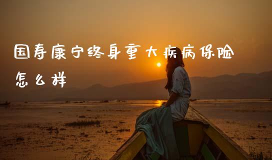 国寿康宁终身重大疾病保险怎么样_https://wap.yjjixie.cn_商业资讯_第1张