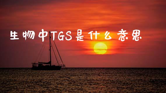 生物中TGS是什么意思_https://wap.yjjixie.cn_商业资讯_第1张
