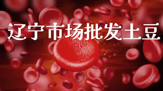 辽宁市场批发土豆_https://wap.yjjixie.cn_商业资讯_第1张