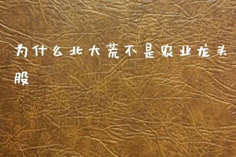 为什么北大荒不是农业龙头股_https://wap.yjjixie.cn_港股行情_第1张