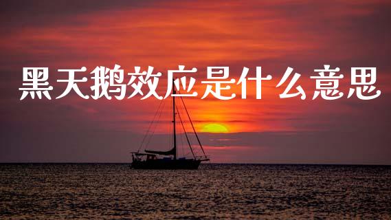 黑天鹅效应是什么意思_https://wap.yjjixie.cn_保险理财_第1张