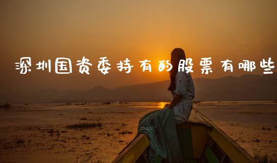 深圳国资委持有的股票有哪些_https://wap.yjjixie.cn_证券市场_第1张