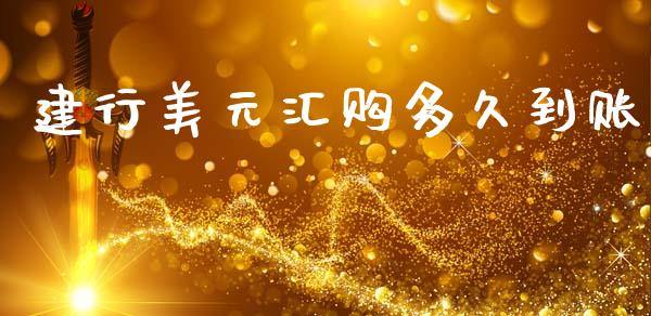 建行美元汇购多久到账_https://wap.yjjixie.cn_商业资讯_第1张