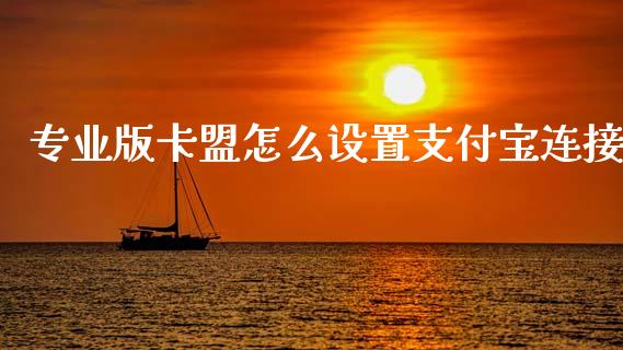 专业版卡盟怎么设置支付宝连接_https://wap.yjjixie.cn_保险理财_第1张