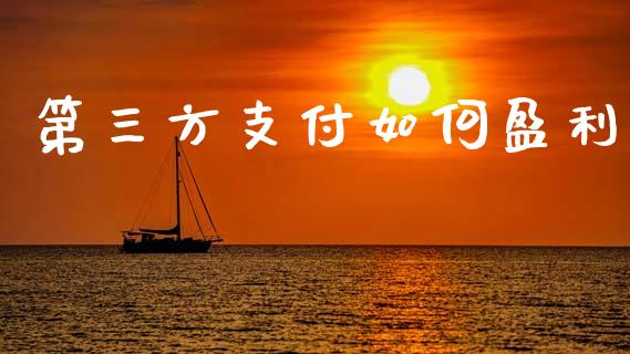 第三方支付如何盈利_https://wap.yjjixie.cn_证券市场_第1张