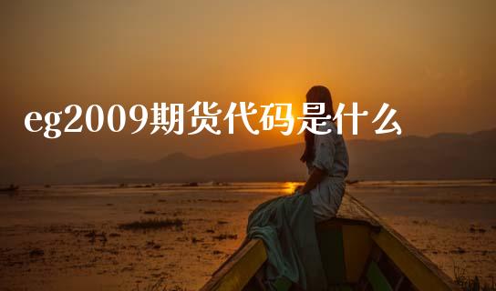 eg2009期货代码是什么_https://wap.yjjixie.cn_证券市场_第1张