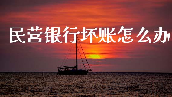 民营银行坏账怎么办_https://wap.yjjixie.cn_港股行情_第1张