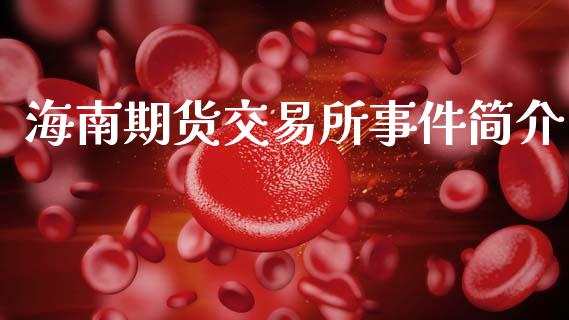 海南期货交易所事件简介_https://wap.yjjixie.cn_港股行情_第1张
