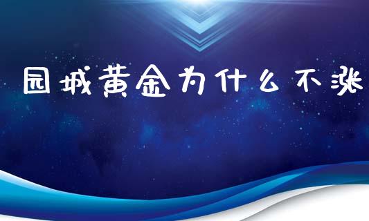 园城黄金为什么不涨_https://wap.yjjixie.cn_港股行情_第1张