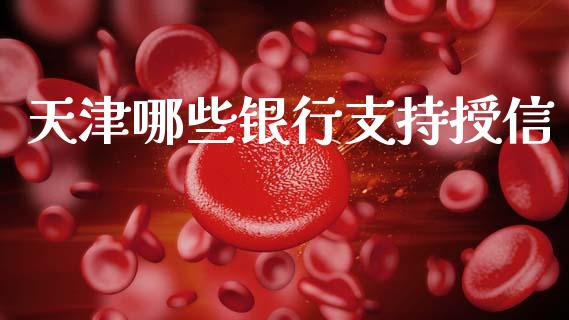 天津哪些银行支持授信_https://wap.yjjixie.cn_商业资讯_第1张