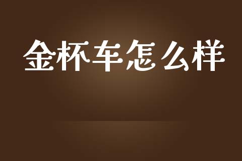 金杯车怎么样_https://wap.yjjixie.cn_保险理财_第1张
