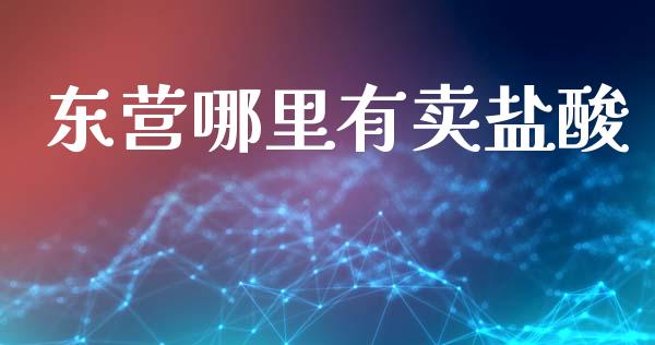 东营哪里有卖盐酸_https://wap.yjjixie.cn_港股行情_第1张