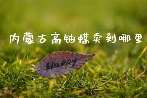 内蒙古高铀煤卖到哪里_https://wap.yjjixie.cn_保险理财_第1张