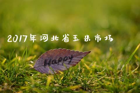 2017年河北省玉米市场_https://wap.yjjixie.cn_港股行情_第1张