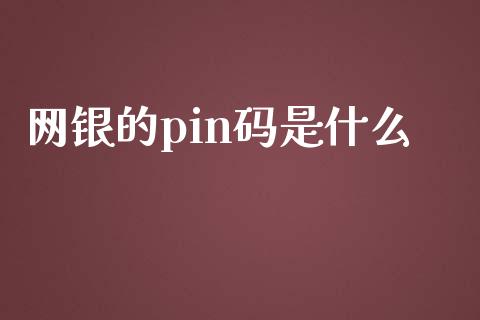 网银的pin码是什么_https://wap.yjjixie.cn_保险理财_第1张