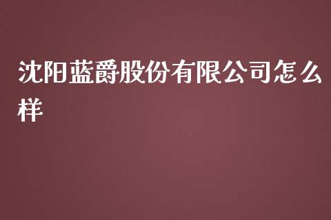 沈阳蓝爵股份有限公司怎么样_https://wap.yjjixie.cn_商业资讯_第1张