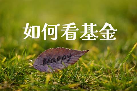 如何看基金_https://wap.yjjixie.cn_保险理财_第1张