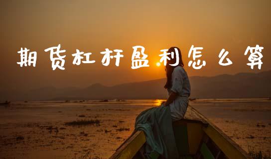 期货杠杆盈利怎么算_https://wap.yjjixie.cn_证券市场_第1张