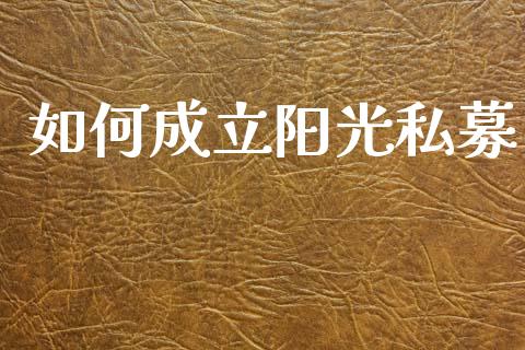 如何成立阳光私募_https://wap.yjjixie.cn_保险理财_第1张
