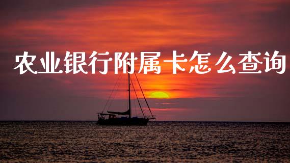 农业银行附属卡怎么查询_https://wap.yjjixie.cn_保险理财_第1张