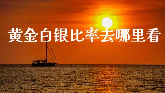 黄金白银比率去哪里看_https://wap.yjjixie.cn_商业资讯_第1张