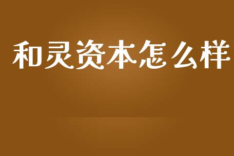 和灵资本怎么样_https://wap.yjjixie.cn_证券市场_第1张