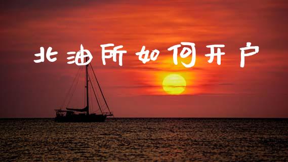 北油所如何开户_https://wap.yjjixie.cn_港股行情_第1张