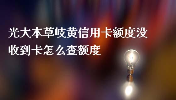 光大本草岐黄信用卡额度没收到卡怎么查额度_https://wap.yjjixie.cn_保险理财_第1张