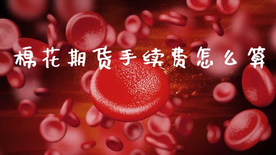 棉花期货手续费怎么算_https://wap.yjjixie.cn_证券市场_第1张