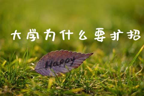 大学为什么要扩招_https://wap.yjjixie.cn_证券市场_第1张