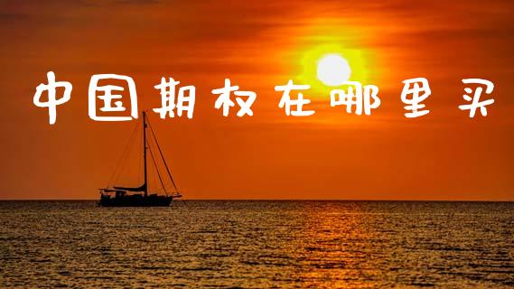 中国期权在哪里买_https://wap.yjjixie.cn_港股行情_第1张