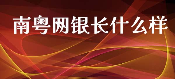 南粤网银长什么样_https://wap.yjjixie.cn_港股行情_第1张