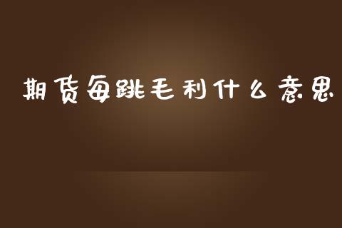 期货每跳毛利什么意思_https://wap.yjjixie.cn_港股行情_第1张