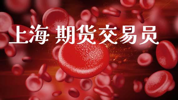 上海 期货交易员_https://wap.yjjixie.cn_证券市场_第1张