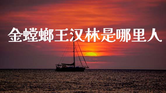 金螳螂王汉林是哪里人_https://wap.yjjixie.cn_港股行情_第1张