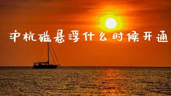 沪杭磁悬浮什么时候开通_https://wap.yjjixie.cn_商业资讯_第1张