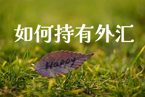 如何持有外汇_https://wap.yjjixie.cn_港股行情_第1张