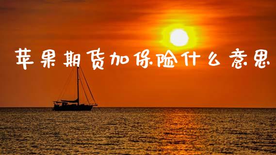 苹果期货加保险什么意思_https://wap.yjjixie.cn_证券市场_第1张
