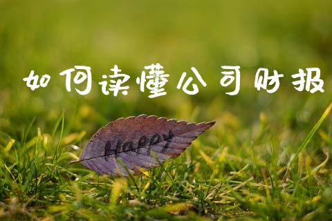 如何读懂公司财报_https://wap.yjjixie.cn_港股行情_第1张