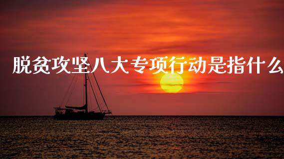 脱贫攻坚八大专项行动是指什么_https://wap.yjjixie.cn_商业资讯_第1张
