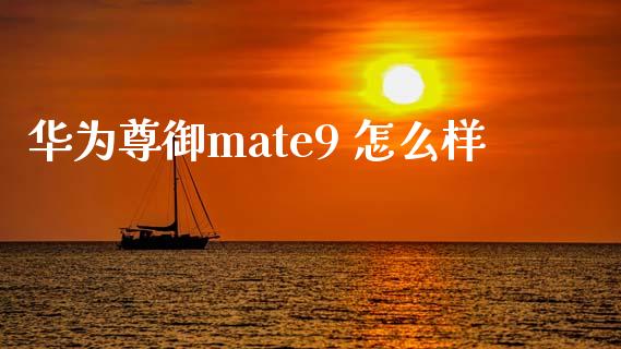 华为尊御mate9 怎么样_https://wap.yjjixie.cn_证券市场_第1张