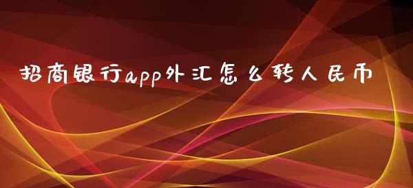 招商银行app外汇怎么转人民币_https://wap.yjjixie.cn_商业资讯_第1张