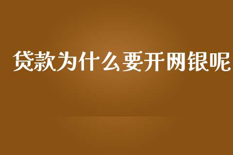 贷款为什么要开网银呢_https://wap.yjjixie.cn_保险理财_第1张