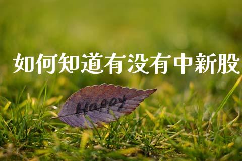 如何知道有没有中新股_商业资讯_第1张_商业资讯_保险理财_证券市场_港股行情 如何知道有没有中新股_https://wap.yjjixie.cn_商业资讯_第1张
